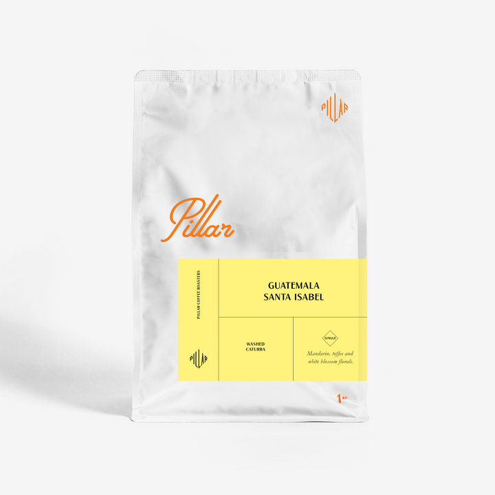 Pillar - Guatemala Santa Isabel - Filter roast