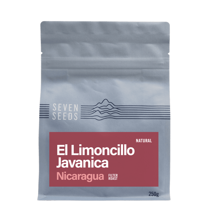 Seven Seeds - Nicaragua El Limoncillo Javanica - Filter roast