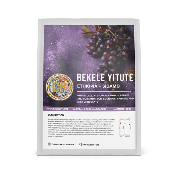 Cartel Roasters - ETHIOPIA BEKELE YITUTE SIDAMO NATURAL – Espresso roast