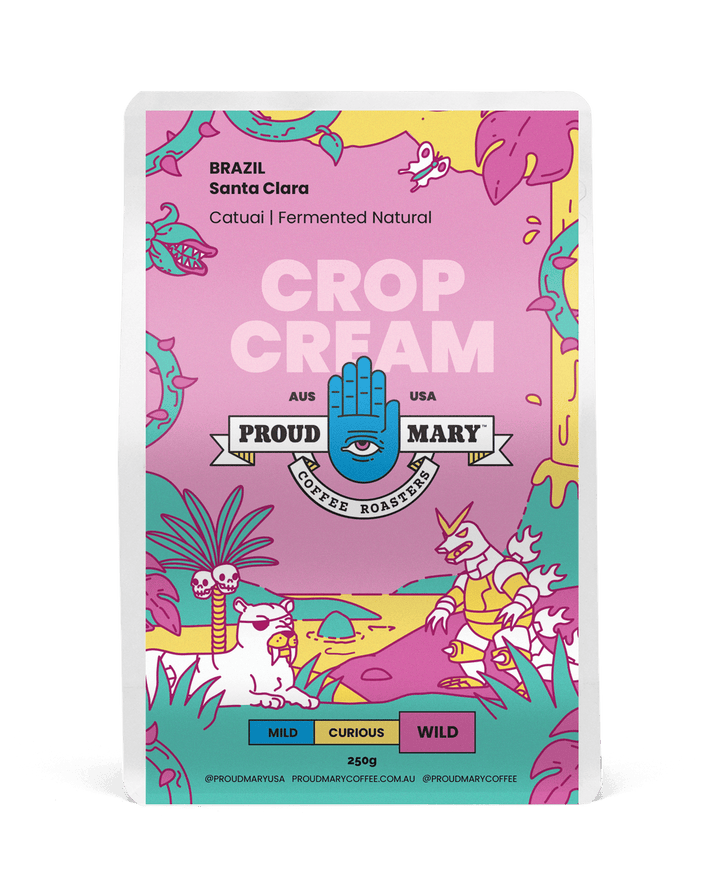 Proud Mary - Brazil Santa Clara Catuai Fermented Natural - Omni roast