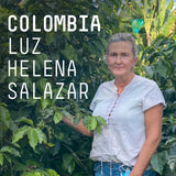 Padre - Colombia Luz Helena - Filter roast