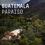Padre - Guatemala Paraiso - Filter roast