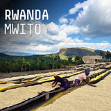 Padre - Rwanda Mwit - Natural process - Espresso roast